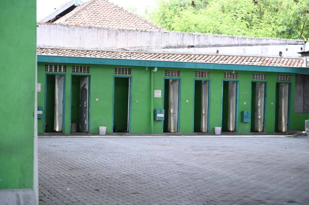 Best Affordable portable toilet rental  in Socorro, TX